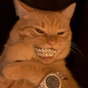 ПЬЮ, КУРЮ И БАБНИК (Explicit)