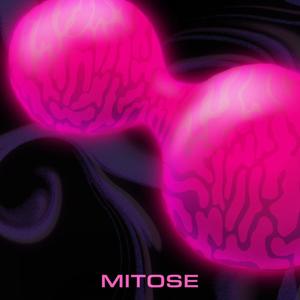 Mitose (feat. Memoza) (Explicit)