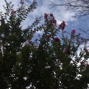 Mark my Words (Explicit)