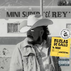 Animales De Costumbres (Explicit)