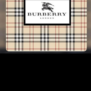 Burbarry Stan (Explicit)