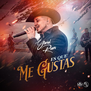 Es Que Me Gustas(En Vivo)