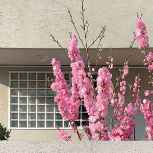 我爱过很多个男人 (南海花痴GBM)