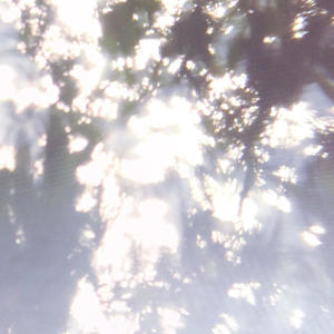 Nikell - no demuestro