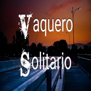 Vaquero Solitario