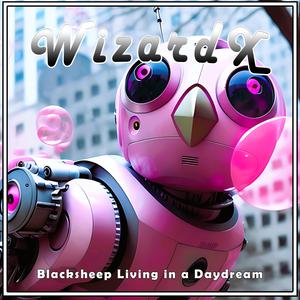 Blacksheep Living in a Daydream