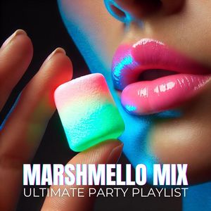 Marshmello Mix (Ultimate Party Playlist)