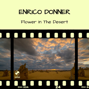 Flower in the Desert