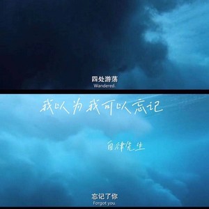 我以为我可以忘记