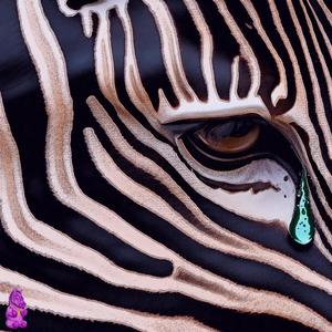 RAIN (ZEBRADANK MIX|feat. DJ SKOLi & ZEBRADANK|Explicit)