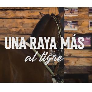 una raya mas al tigre