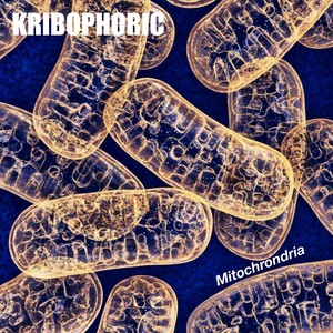 Mitochondria