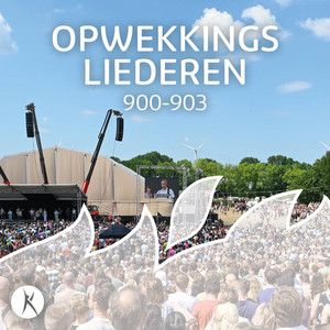 Leeuw van Juda (902)