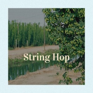 String Hop