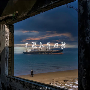 不能靠岸的船