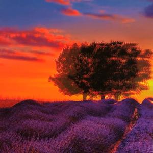 BWY (feat. Pink Father & TimGetTheMoney) (Explicit)