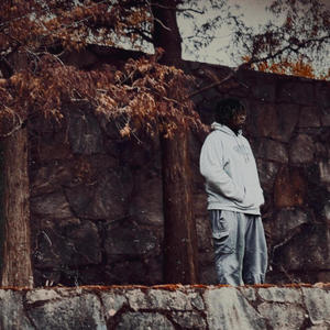 2023 Motion (Explicit)