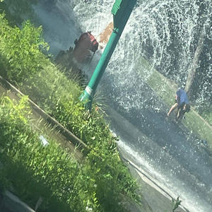 pmsa sum bs (Explicit)