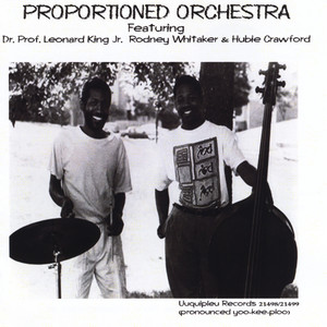 Proportioned Orchestra - Mnoilewas