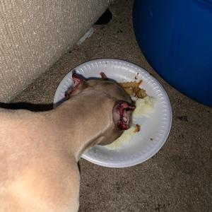 Insideeee (Explicit)