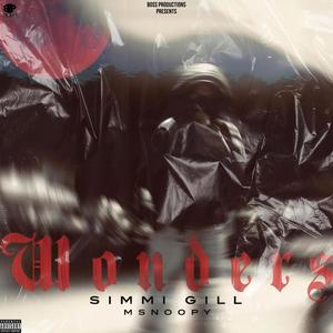 Wonders (Simmi Gill (Explicit)