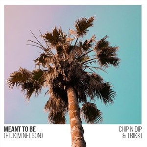 Meant to Be (feat. Kim Nelson) (Explicit)