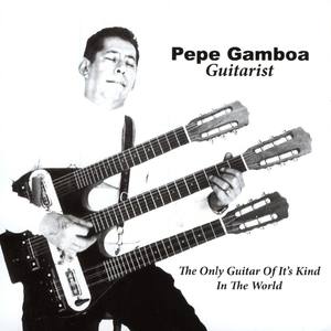 Pepe Gamboa Guitarist