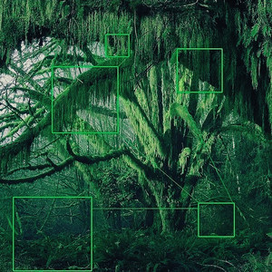 Harakiri-Bamboo Forest (2.0Reimx) (SouthCoastLoner remix)