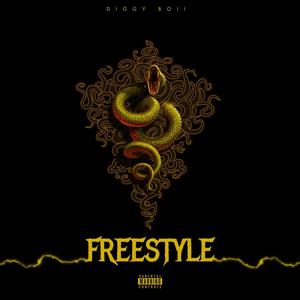 N.E.S. FREESTYLE