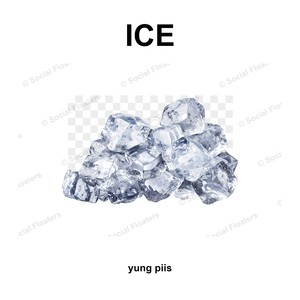 ICE