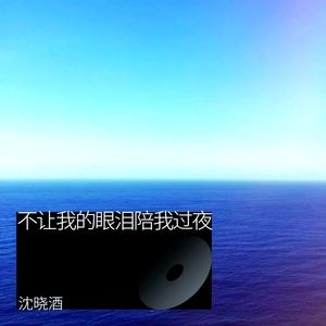 不让我的眼泪陪我过夜