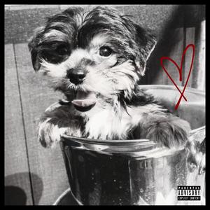 T.o.m. (feat. Samira Luca)