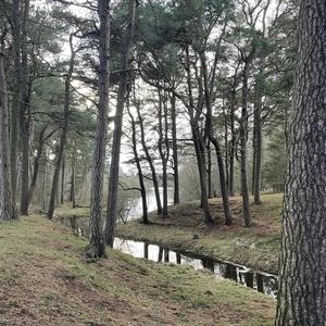 The Shadow Over Innsmouth