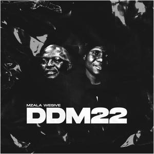 DDM 22