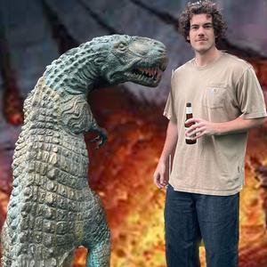 Application (Explicit)