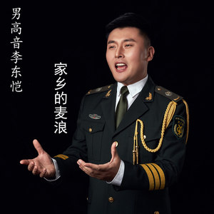 家乡的麦浪