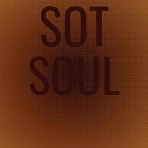 Sot Soul