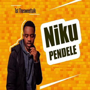 Niku pendele