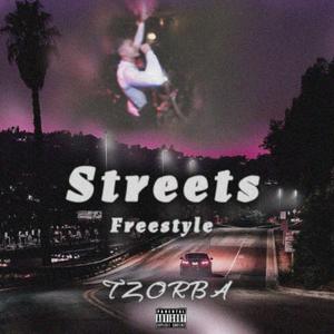 STREETS FREESTYLE (feat. VIPER BEATS) (Explicit)