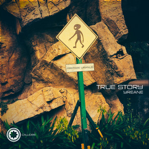 Yreane - True Story (meat katie remix)