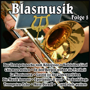Blasmusik, Vol. 5