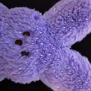 face this (Explicit)