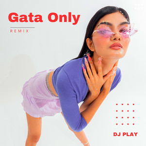 Gata Only (Remix) (DJ Mix)