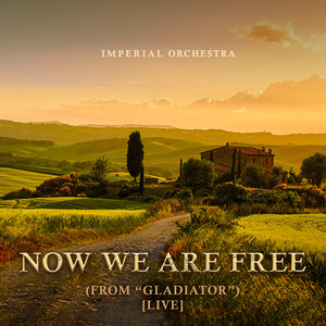 Now We Are Free (From "Gladiator") [Live]