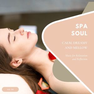 Spa Soul - Calm, Dreamy And Mellow Music For Relaxation And Reflextion, Vol. 04