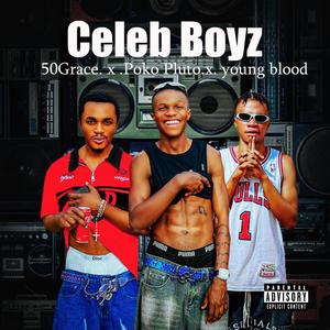 Celeb Boyz (feat. Poko Pluto & Young blood) (Explicit)