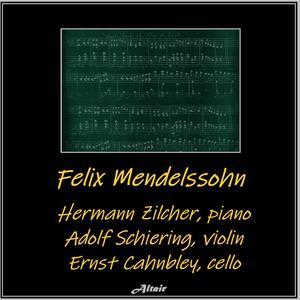 Felix Mendelssohn - Piano Trio NO. 1 in D Minor, Op. 49: I. Molto Allegro Agitato