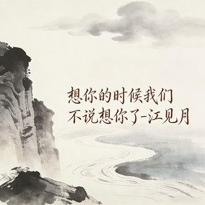 想你的时候我们不说想你了