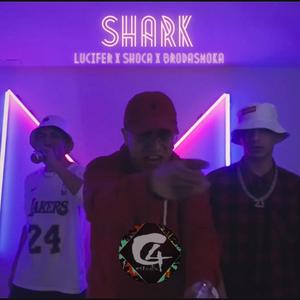 Shark (feat. Shoca & Brodasmoka) (Explicit)