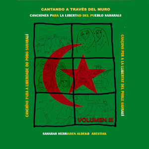 El Náufrago del Sahara